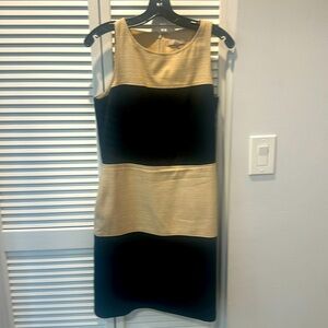 Banana republic lined dress size 10